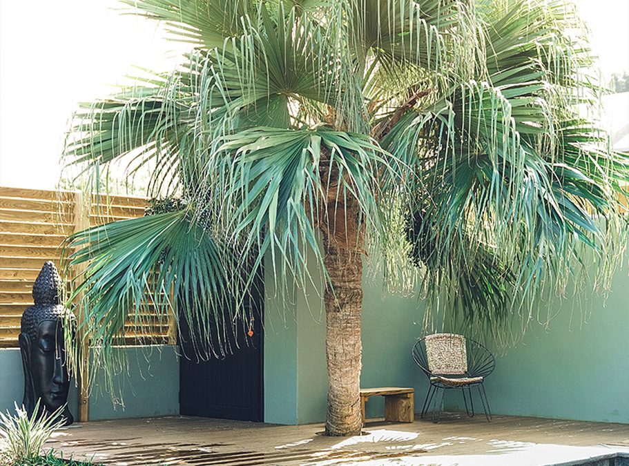 Green and blue